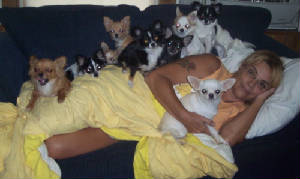 chiblanket.jpg