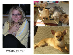 milo022005.jpg
